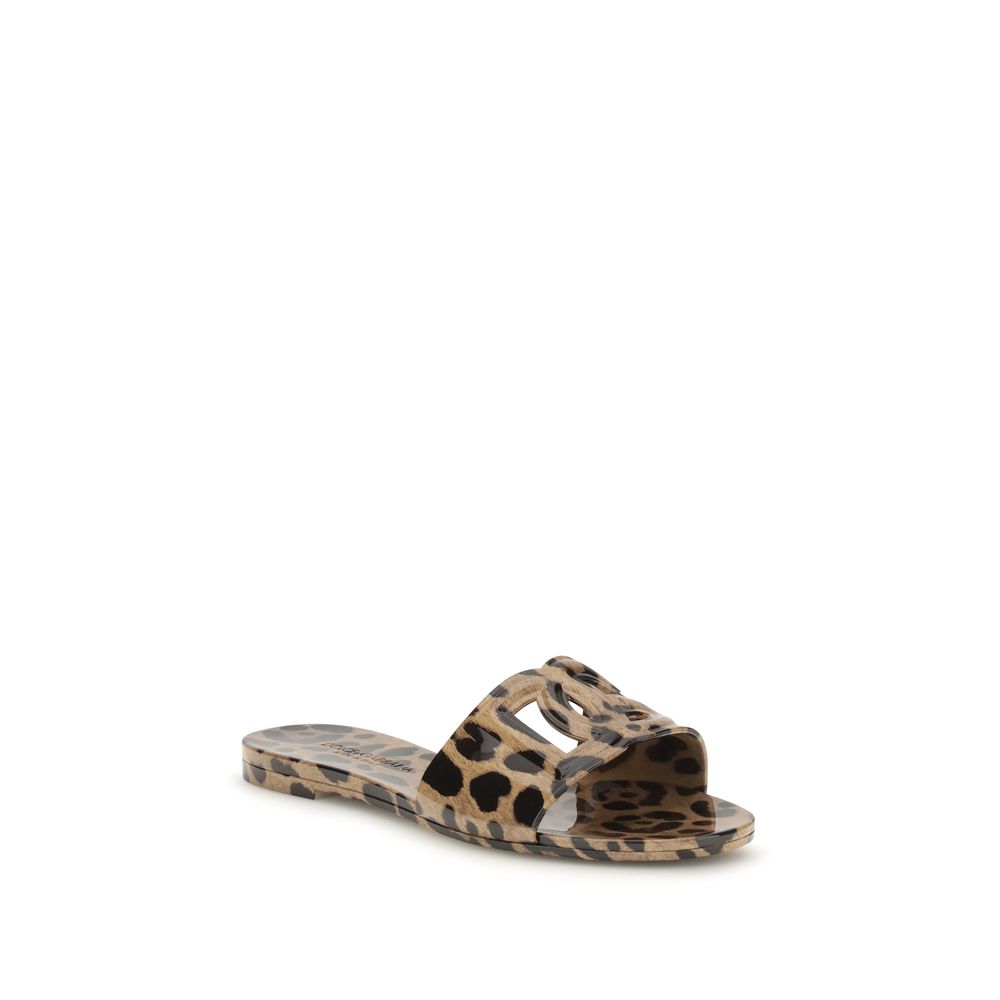 Dolce & Gabbana | Multicolor Rubber Flat Sandals