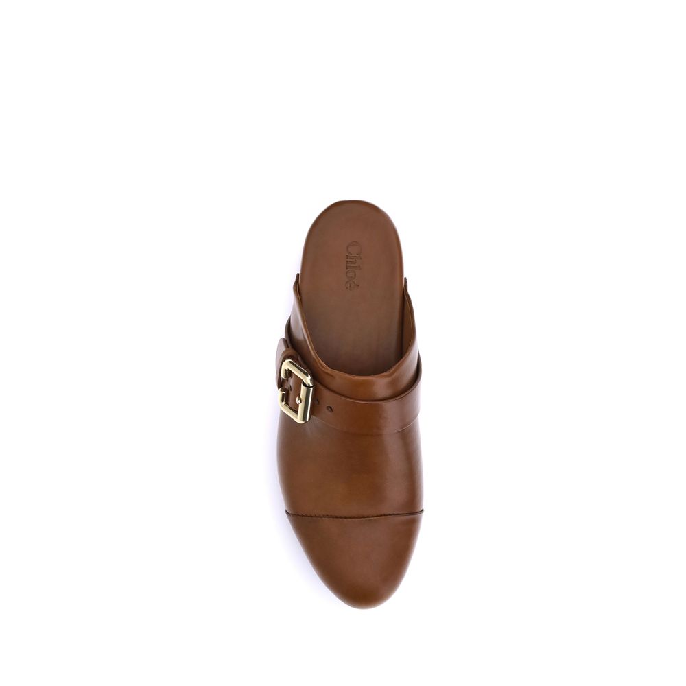 Chloé | Brown Calf Leather Bos Taurus Clogs